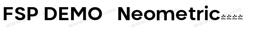 FSP DEMO   Neometric字体转换